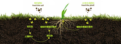 如何施肥_有機肥和化肥區(qū)別