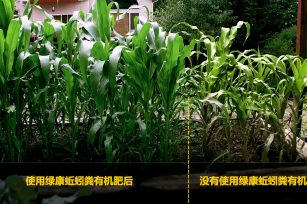 了解蚯蚓糞的一切