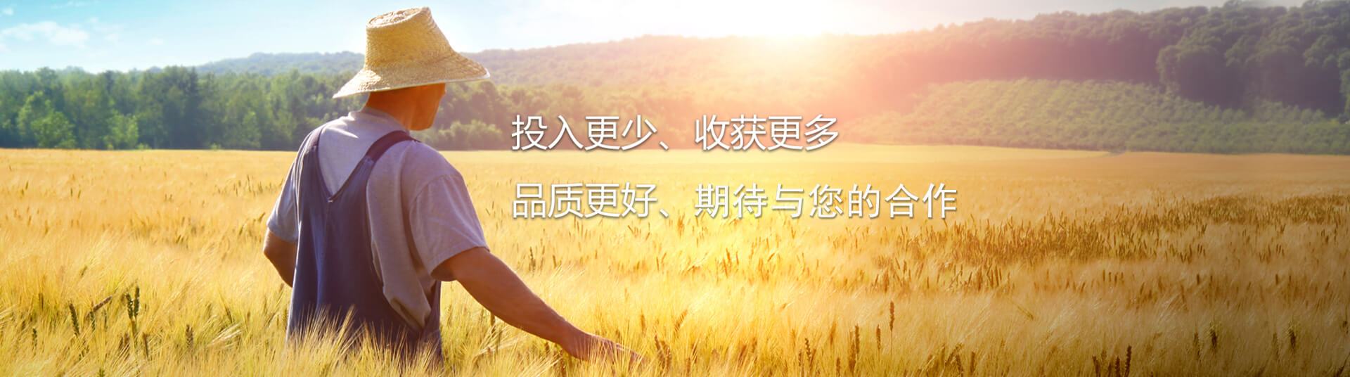 企業(yè)概要