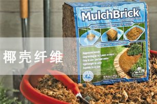 椰子纖維是泥炭土真正的環保替代介質嗎?