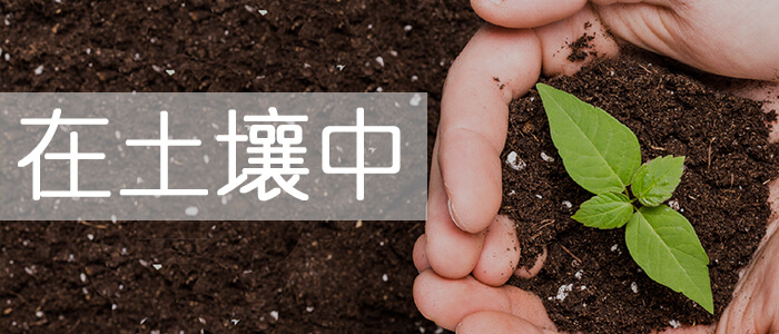 土壤科學(xué)_綠康有機(jī)肥