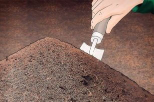 秋季給果樹施肥應該注意一些什么問題？
